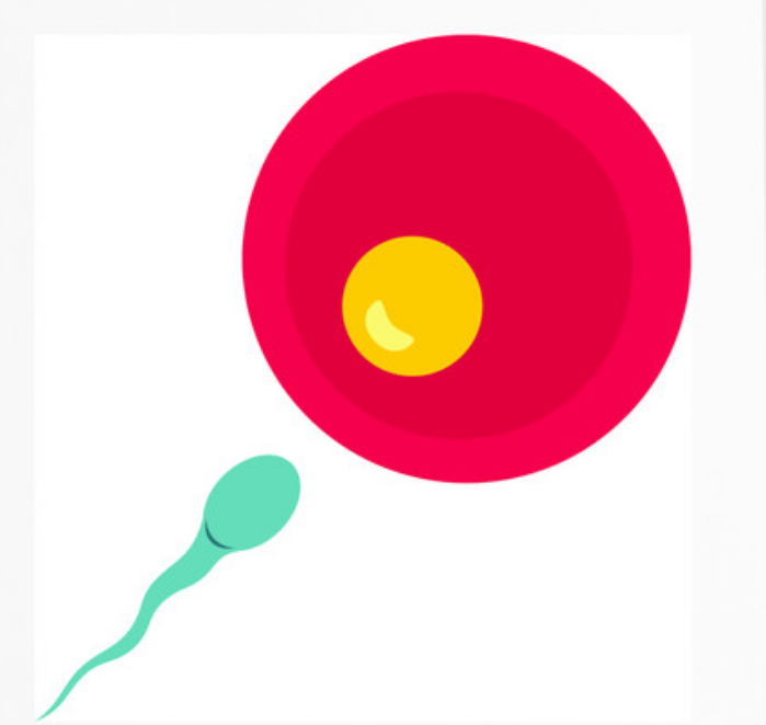 南京代孕包出生,2023
详细的海口试管婴儿费用_南京供卵医院成功率_鲜胚移植成