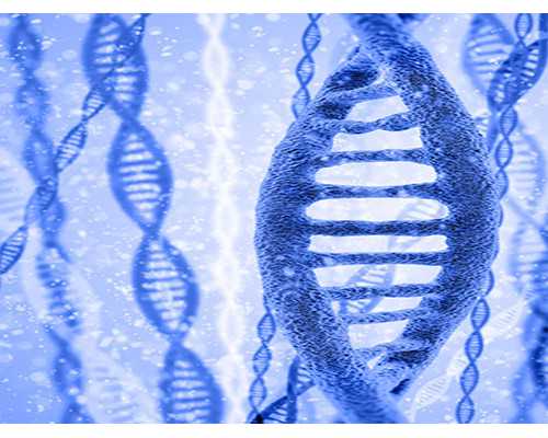 NIC医院第三代试管婴儿费用与助孕选择指南