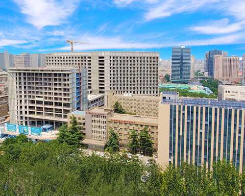 试管婴儿移植后保胎药使用指南与黄体支持重要性