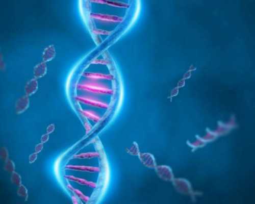 试管婴儿男性精子标准与助孕成功指南