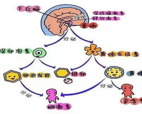 北京专家公益会诊助力不孕不育家庭圆梦