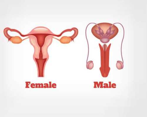 南京供卵试管助孕靠谱性解析与北京权威医院代怀费用指南