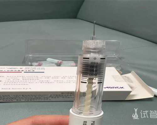 南京代怀助孕流程解析：试管婴儿周期与医院就诊频率指南