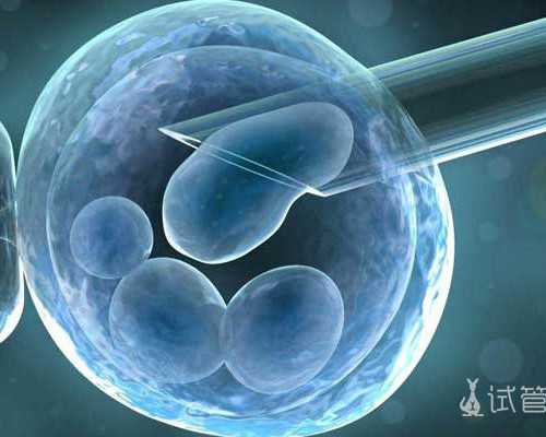 南京供卵机构分享：备孕经历与助孕知识解析