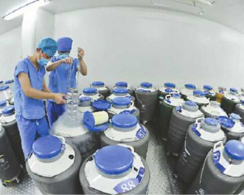 南京试管代生助孕指南：提升成功率的关键要素与流程解析