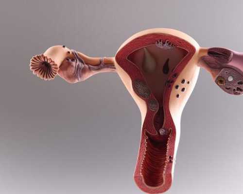 南京代生价格解析：泰国试管婴儿流程与防骗指南