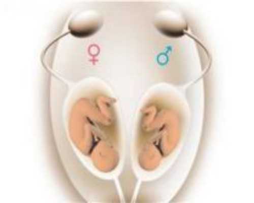 南京试管助孕技术解析：三代试管婴儿如何选择与多囊卵巢综合症助孕指南