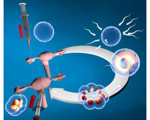 试管婴儿证件准备指南及国内外手续对比