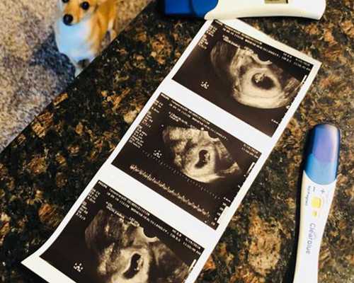 南京助孕生孩子的专业医院选择与推荐