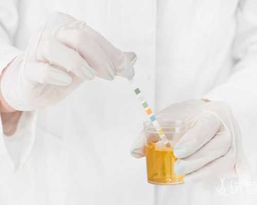 海外三代试管助孕流程与时间详解及技术优势