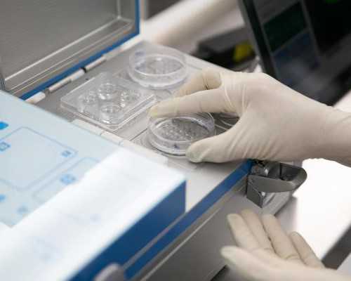 试管婴儿胚胎分级标准解析与移植成功率提升策略