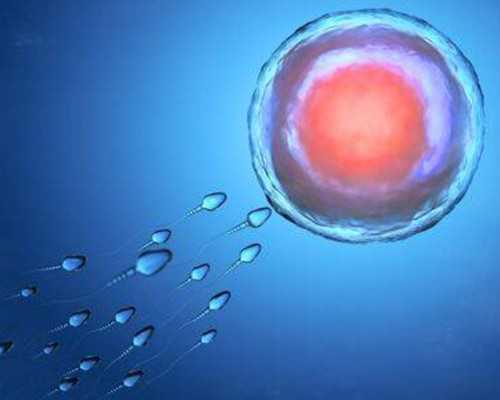 南京试管代生机构推荐：泰国试管婴儿实现龙凤胎的全面指南