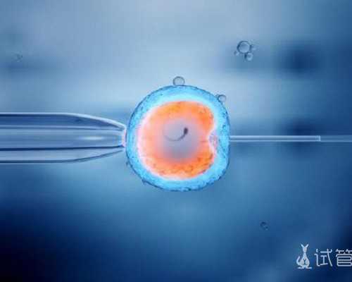 南京鼓楼医院供精试管费用与成功率详解，助孕选择指南