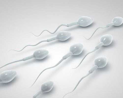 第二代试管婴儿费用解析：价格构成与影响因素