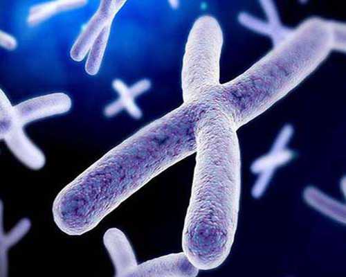 南京借卵代怀与泰国试管婴儿流程时长及811胚胎成功率解析