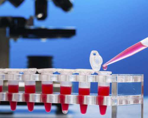 试管婴儿成功率与高龄风险及多学科会诊助孕活动