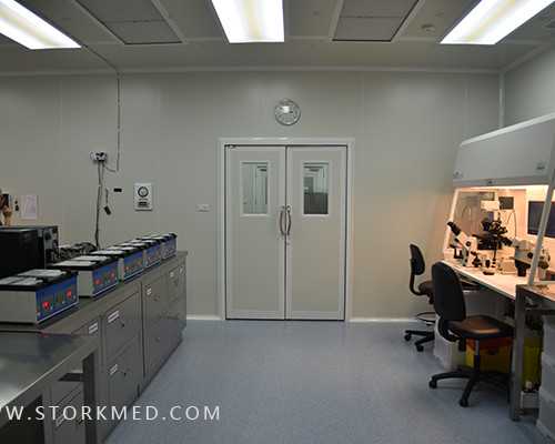 试管婴儿双胎性别比例与助孕机构选择指南