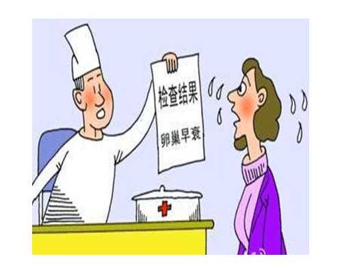 试管婴儿流程详解与成功率分析