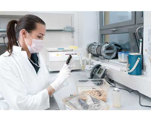 南京代怀与北京供卵试管机构全解析：技术、费用与选择指南