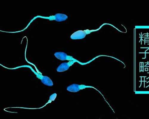 试管婴儿双胞胎妊娠的可能性与风险解析