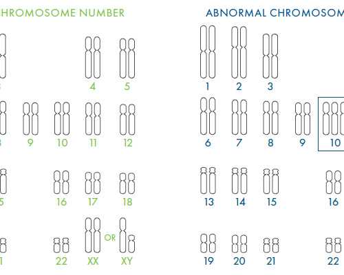 南京三代试管助孕时间周期与流程详解，助您顺利代生