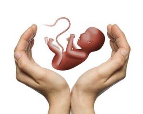 泰国三代试管周期步骤与成功率解析